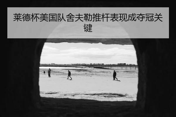 莱德杯美国队舍夫勒推杆表现成夺冠关键