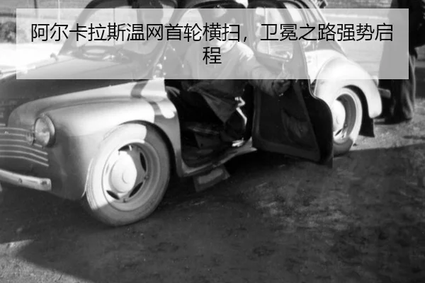 a-er-ka-la-si-wen-wang-shou-lun-heng-sao-wei-mian-zhi-lu-qiang-shi-qi-cheng-2-600.jpg