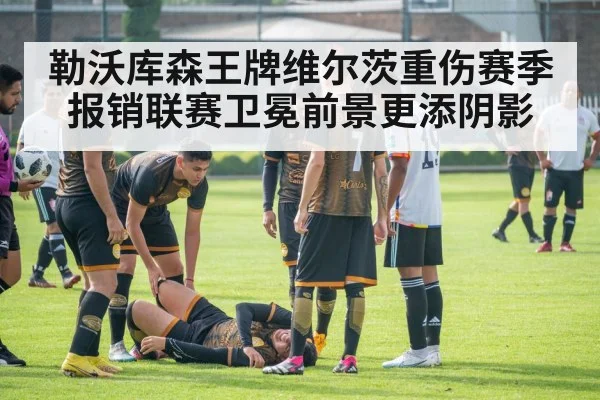 勒沃库森王牌维尔茨重伤赛季报销联赛卫冕前景更添阴影